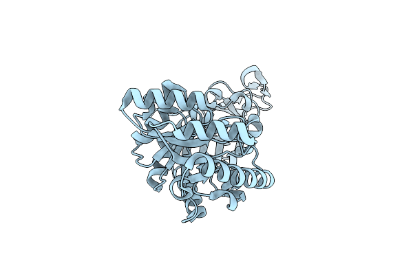 4DZA image