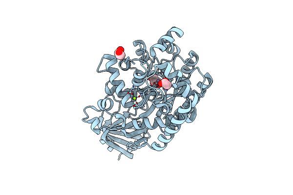 4DZH image