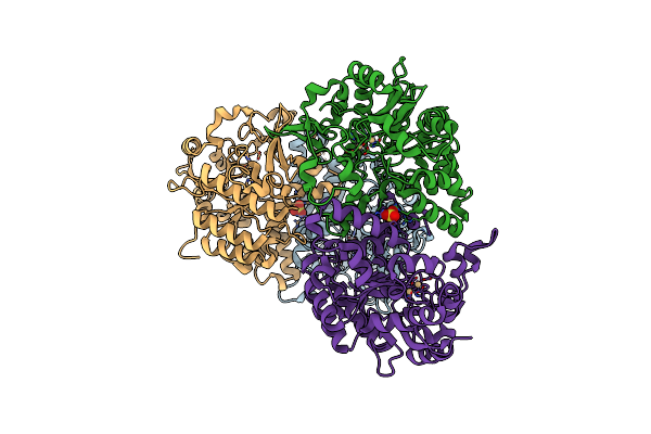 4DZI image