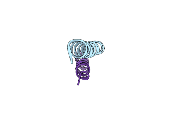 4DZM image