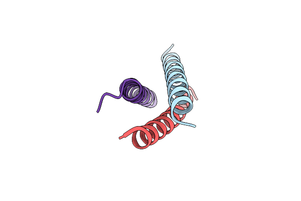 4DZN image