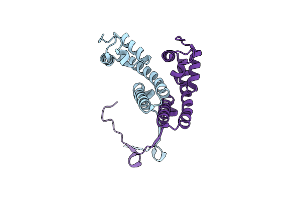 4DZP image