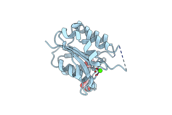 4DZR image