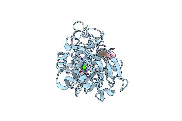 4DZT image
