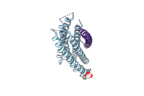 4DZU image