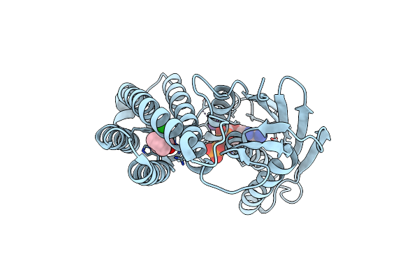 4E02 image