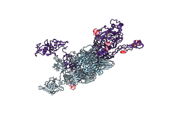 4E0S image