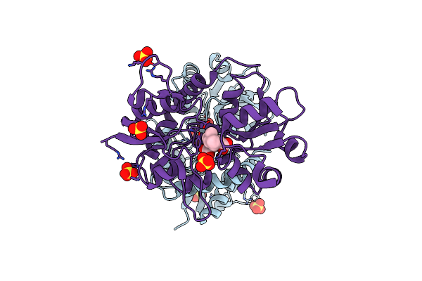 4E0X image