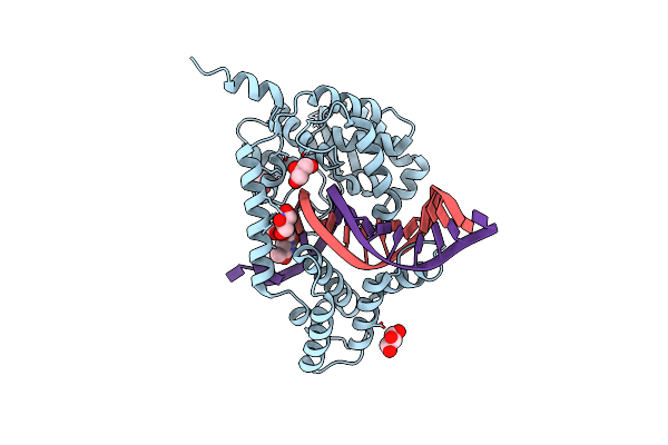 4E0Z image