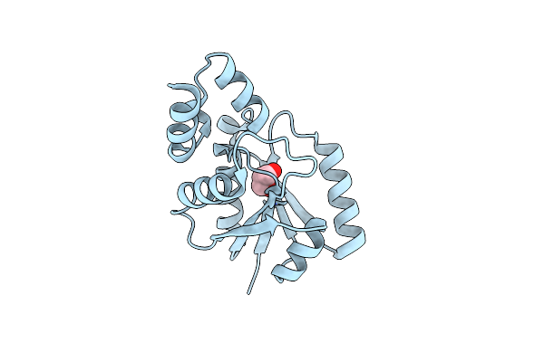 4E1A image