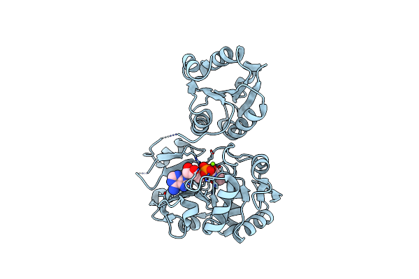 4E1B image