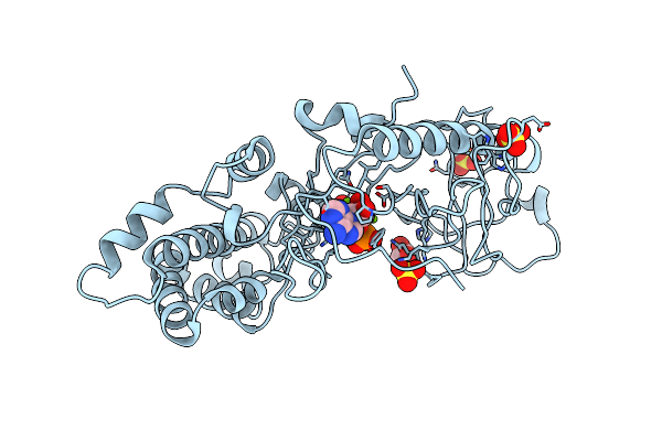 4E1C image