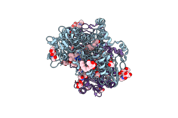 4E1G image