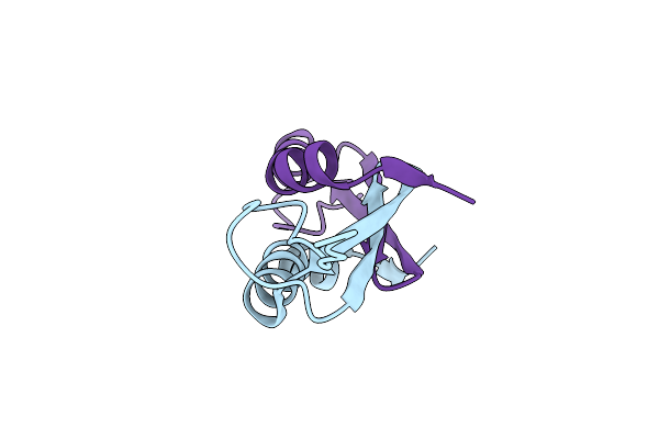 4E1P image