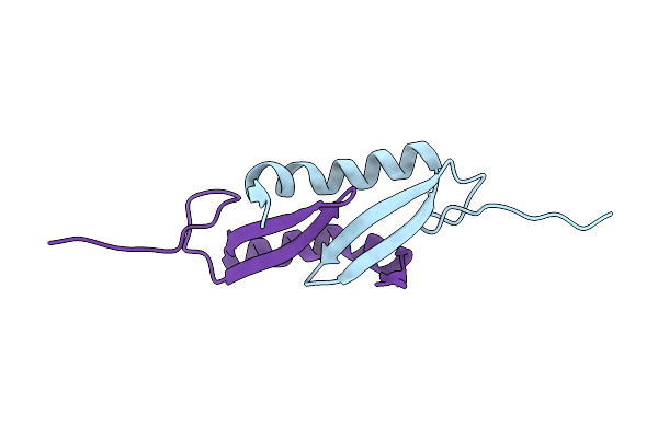 4E1R image