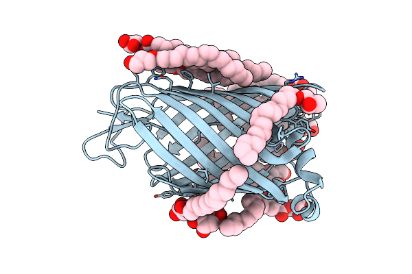 4E1S image