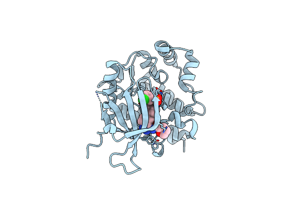 4E1Z image
