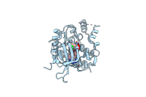 4E20 image
