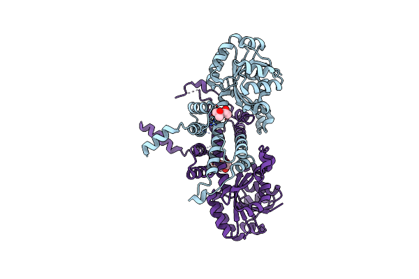 4E21 image