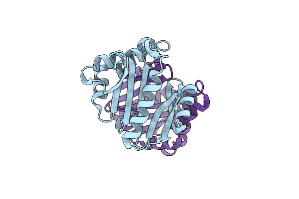 4E2A image