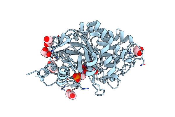 4E2B image