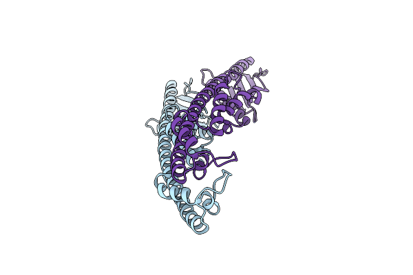 4E2C image