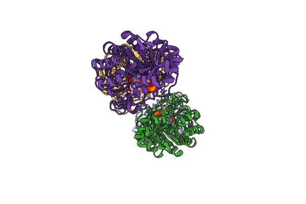 4E2D image