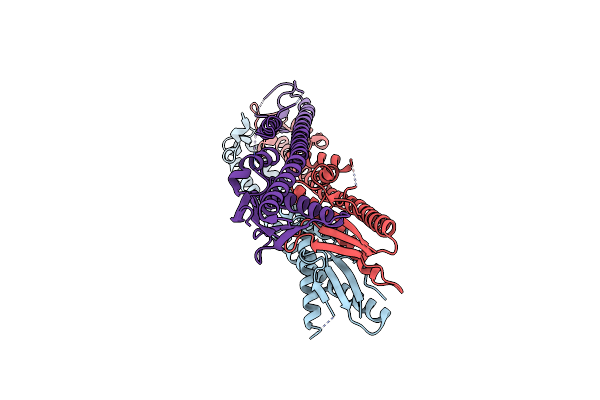 4E2H image