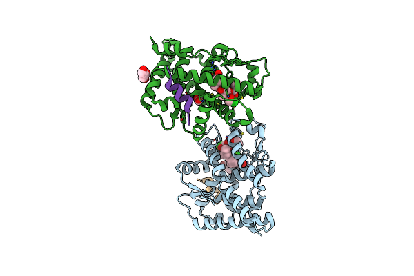 4E2J image