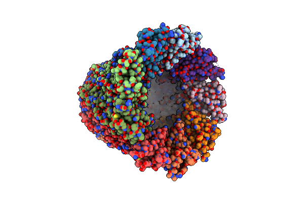 4E2L image