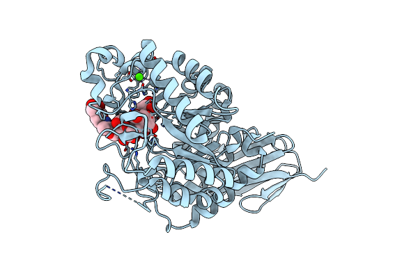 4E2O image