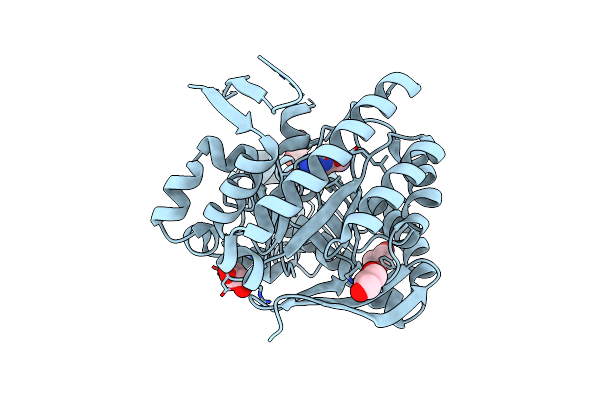 4E2V image