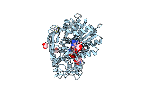 4E2W image