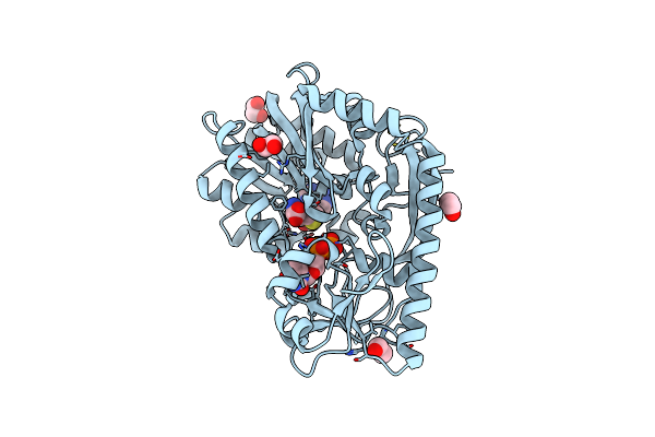 4E2X image
