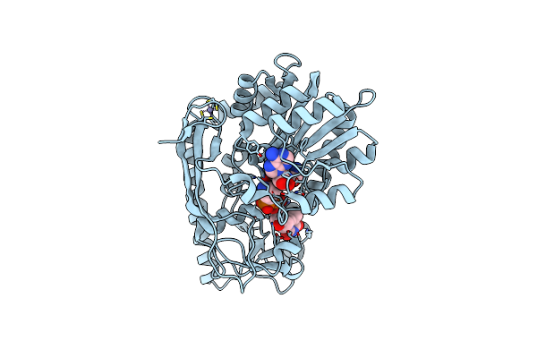 4E2Y image