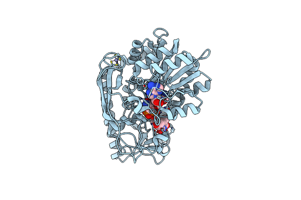 4E33 image