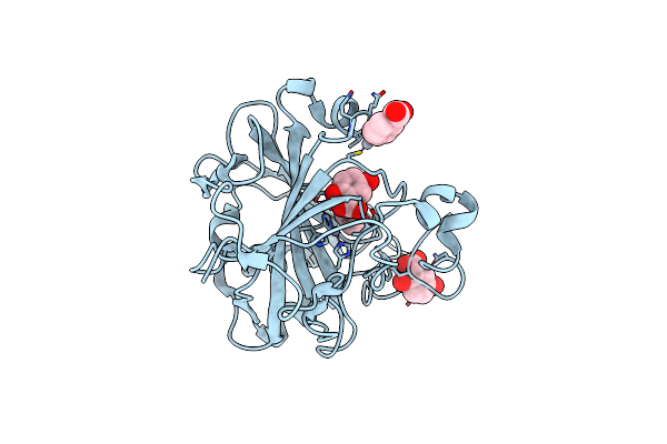 4E3D image