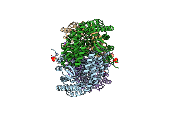 4E3R image