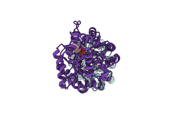4E3T image