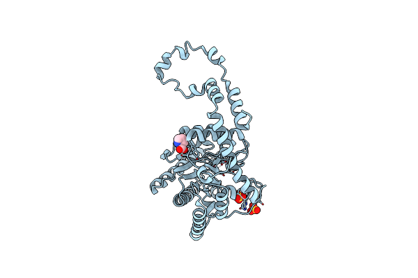 4E3V image