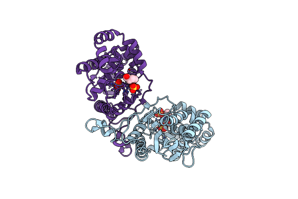 4E3W image