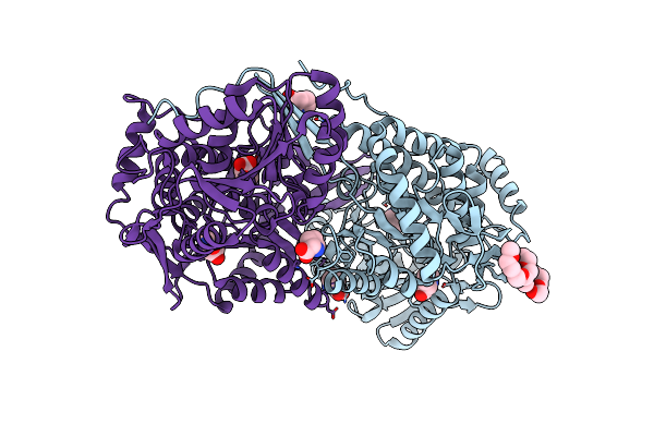 4E3X image