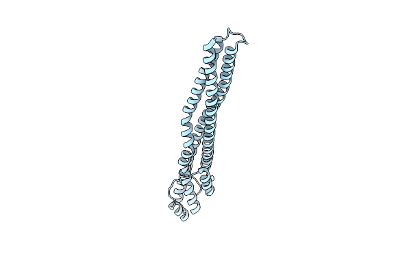4E40 image