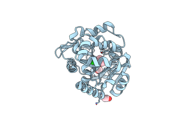 4E46 image