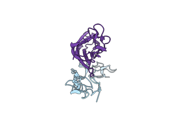 4E4D image