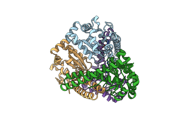 4E4E image