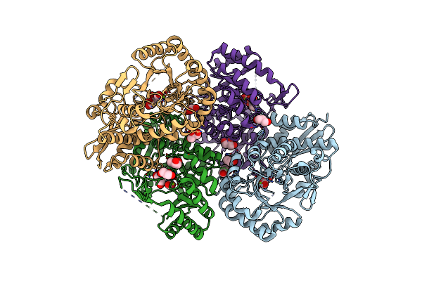 4E4F image