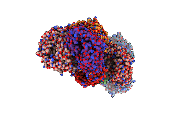 4E4G image