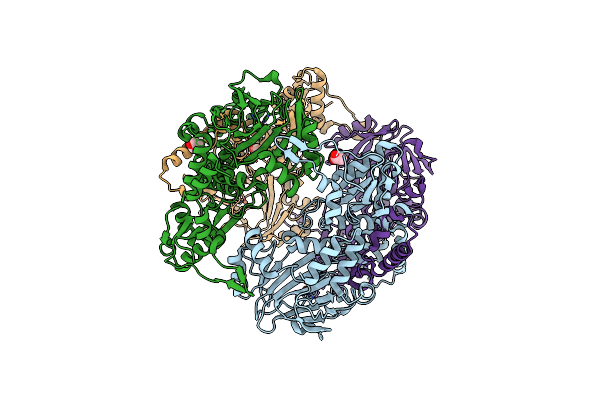 4E4H image