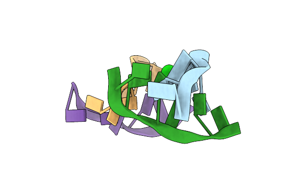 4E4O image